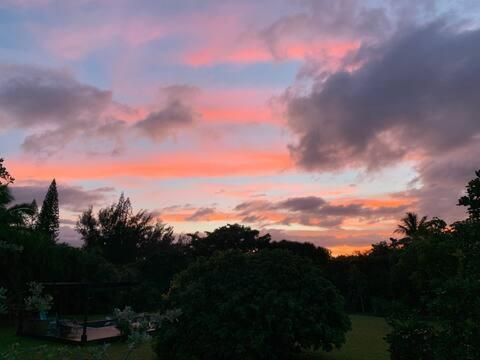 North Shore Garden Suite ฮาเลวา ภายนอก รูปภาพ